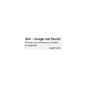Honeywell Cw45-strap-hl - Wrist Strap Hook And Loop Attachment 1